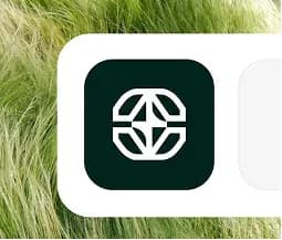 Abstract star symbol on a dark green background