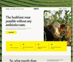 Website section promoting healthy meat without antibiotics